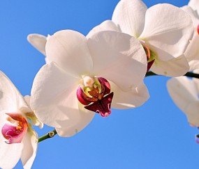 南充正规助孕捐卵机构，附正规捐卵机构报名表！